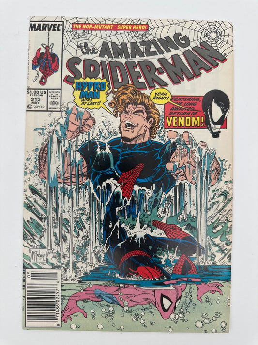 Amazing Spider-Man #315 VF