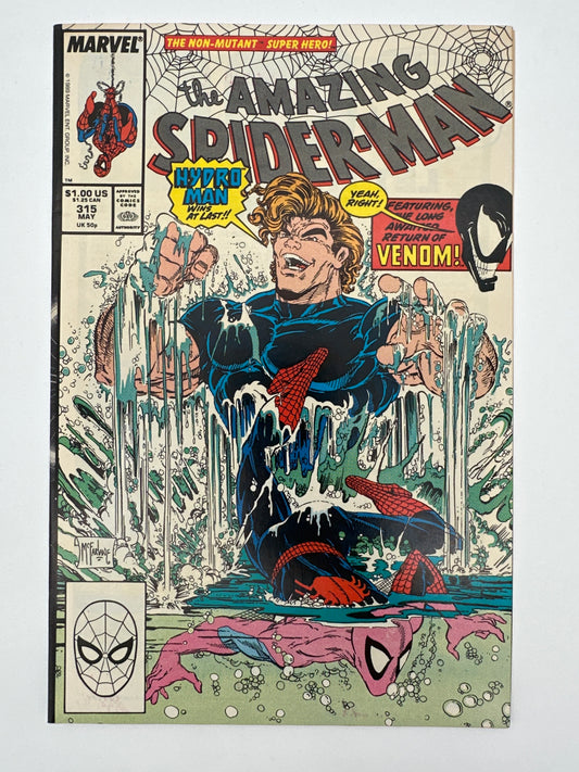 Amazing Spider-Man #315 VF/NM
