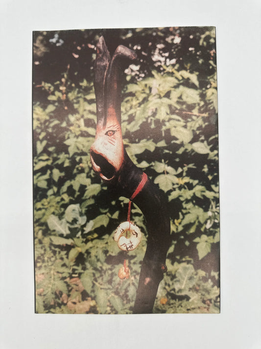 Elflord #2 VF - Glass City Comics & Collectibles