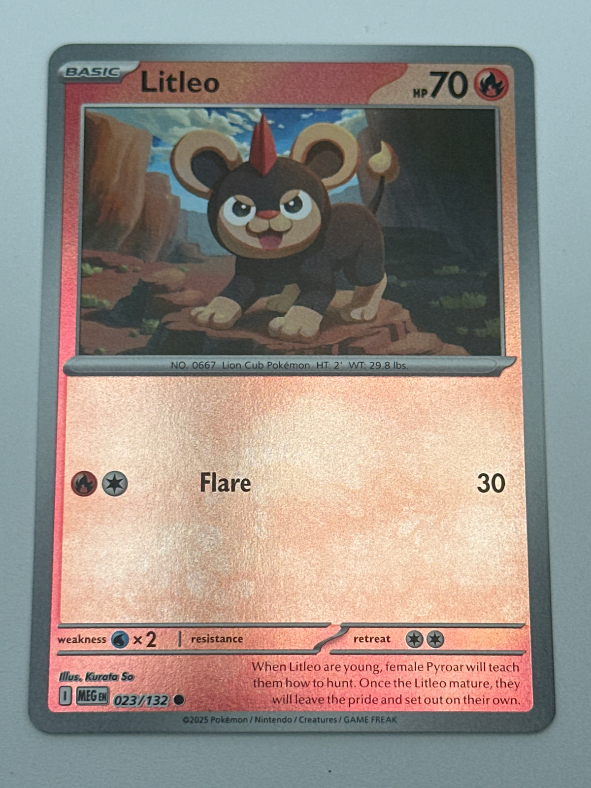 Pokémon Trading Card Game Mega Evolution MEG 023/132 Litleo Reverse Holo Card