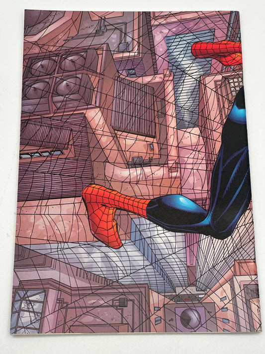 Peter Parker: Spider-Man #1 VF/NM