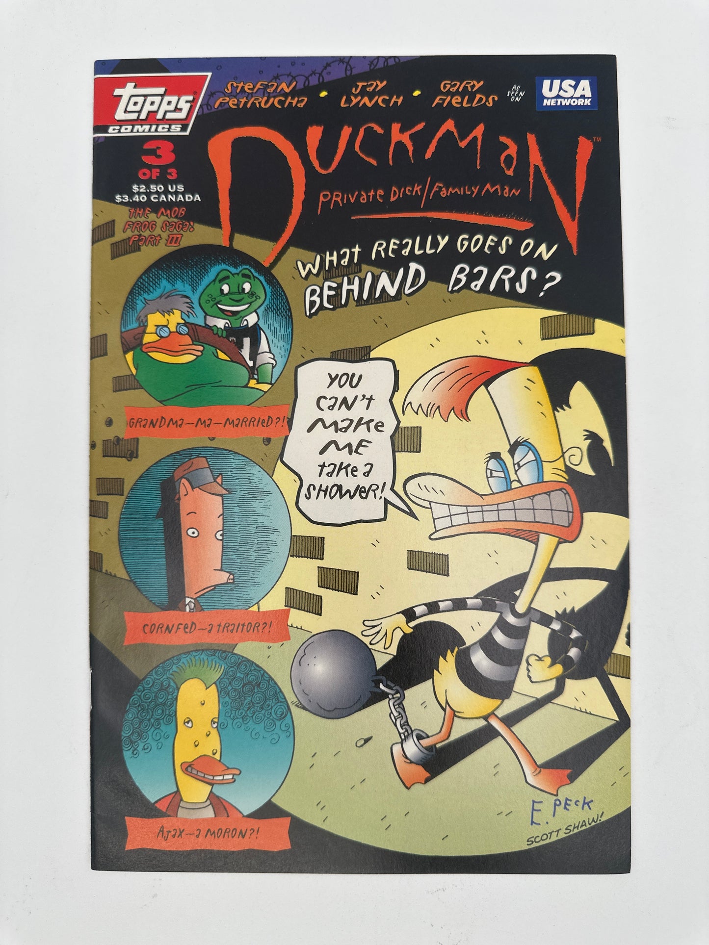 Duckman: The Mob Frog Saga #3 NM