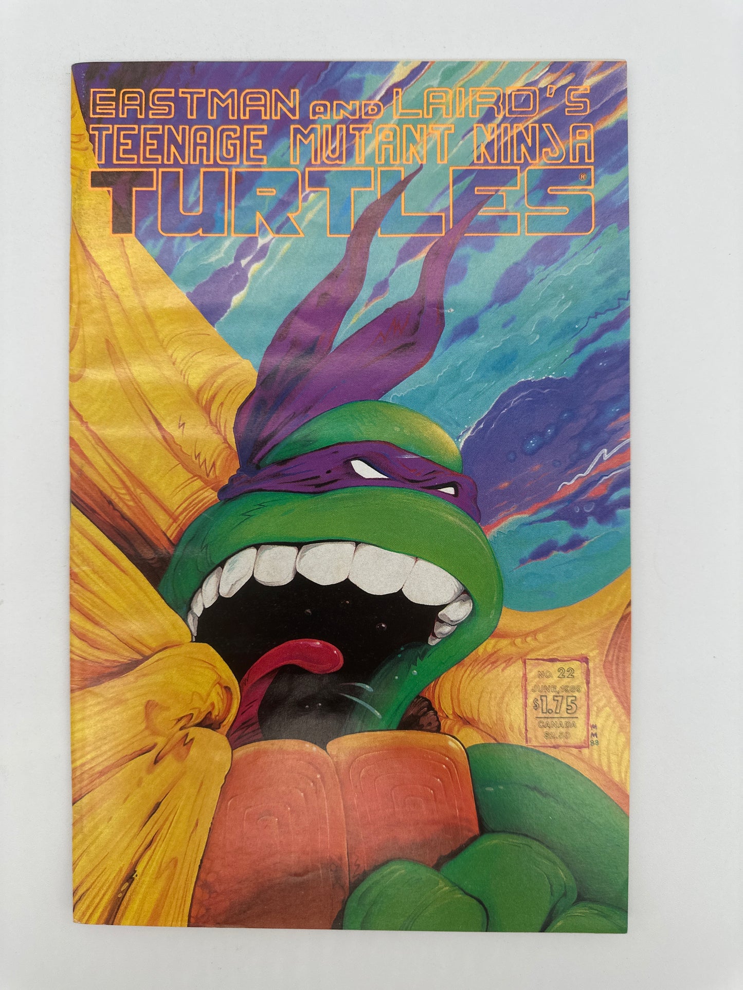 Teenage Mutant Ninja Turtles #22 FN/VF