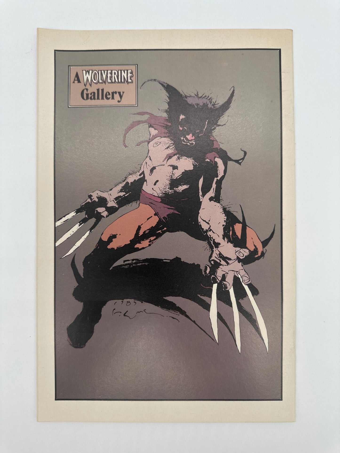 Wolverine #10 Newsstand VF/NM