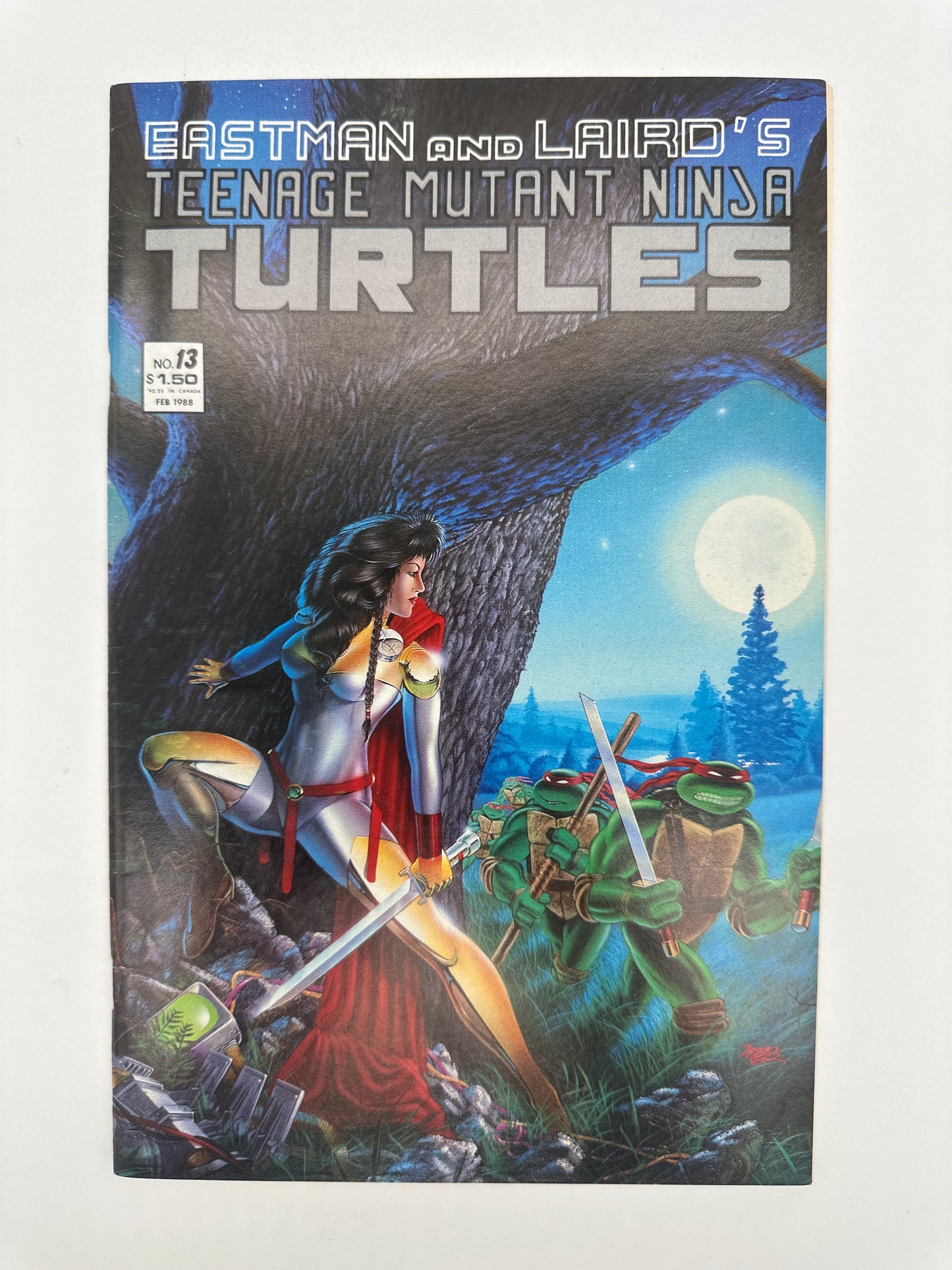 Teenage Mutant Ninja Turtles #13 VF/NM