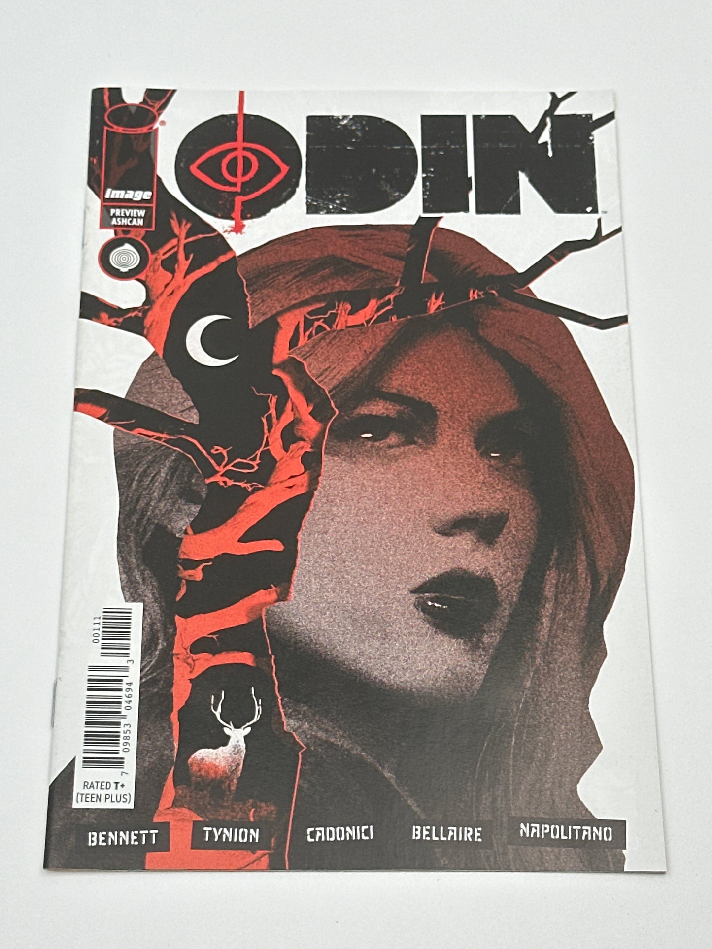 If Destruction Be Our Lot / Odin #1 Preview Ashcan 2026