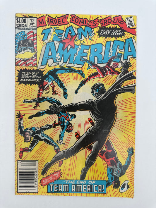 Team America #12 Newsstand FN