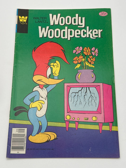 Woody Woodpecker #169 FN