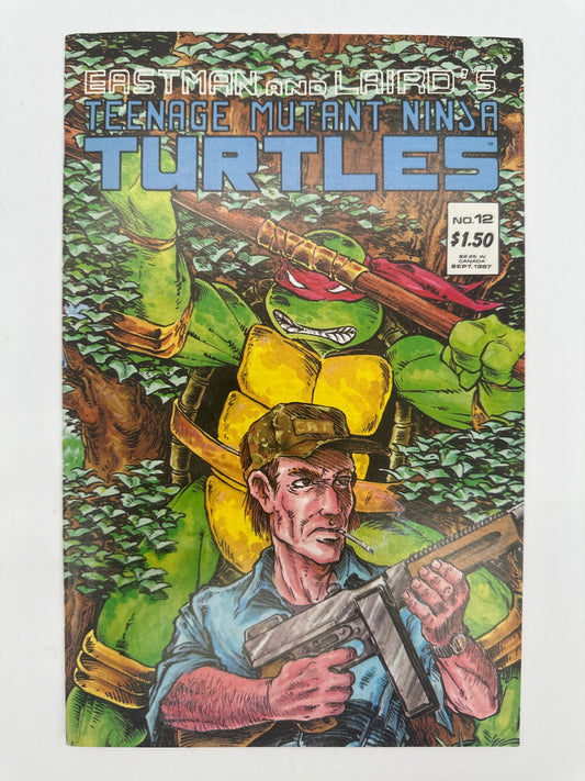Teenage Mutant Ninja Turtles #12 NM
