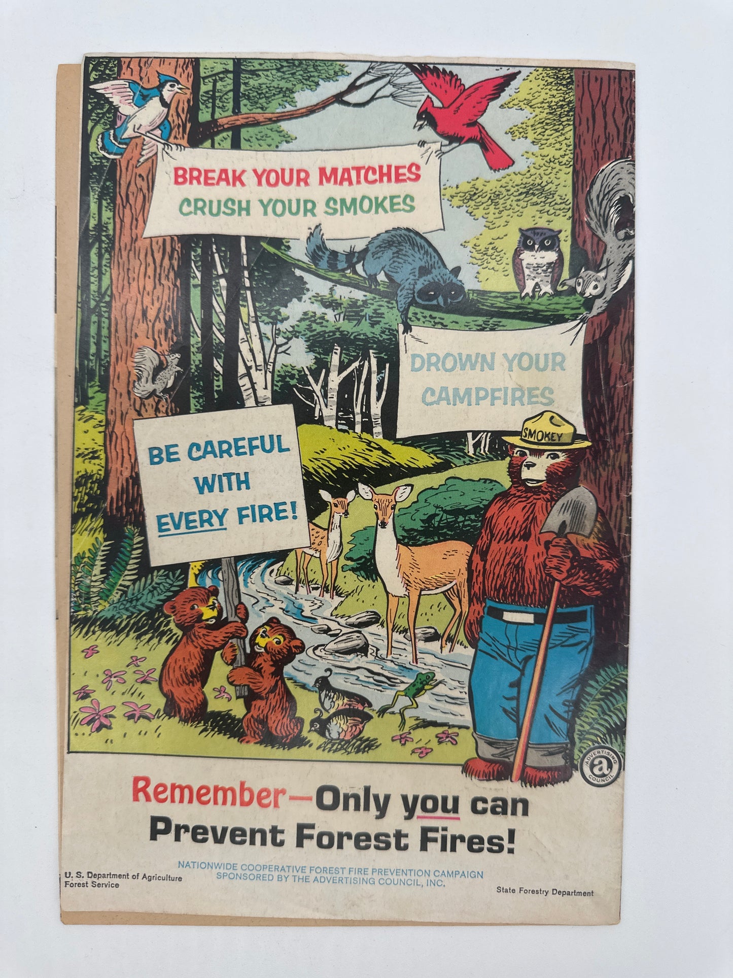The True Story of Smokey Bear FN