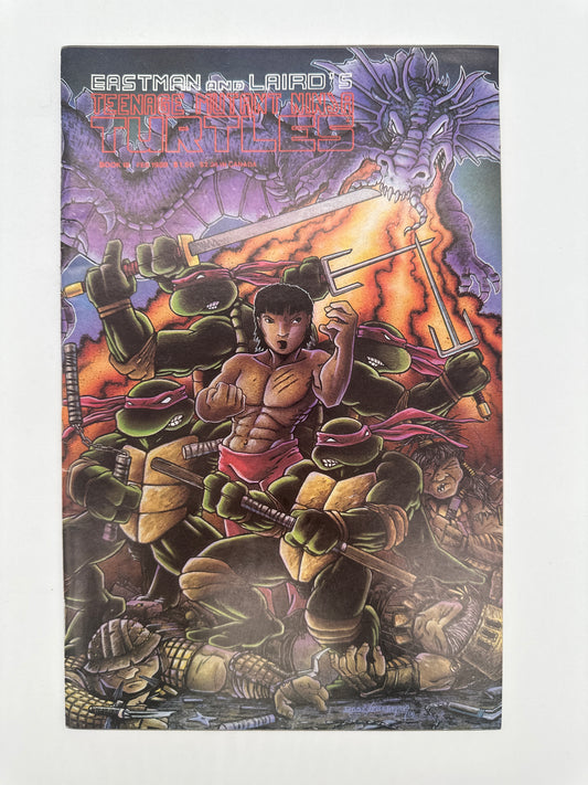 Teenage Mutant Ninja Turtles #18 VF/NM