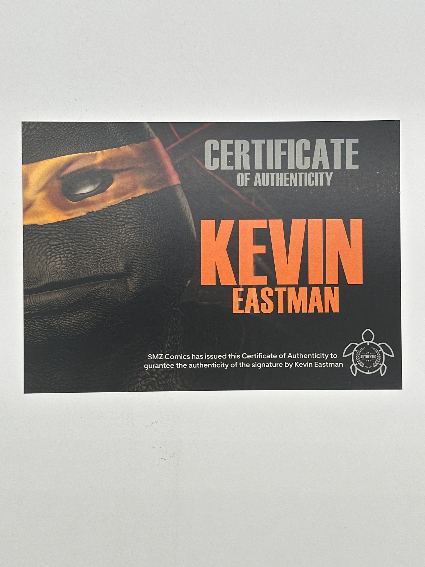 TMNT The Last Ronin 11x17 Art Print Signed by Kevin Eastman with COA