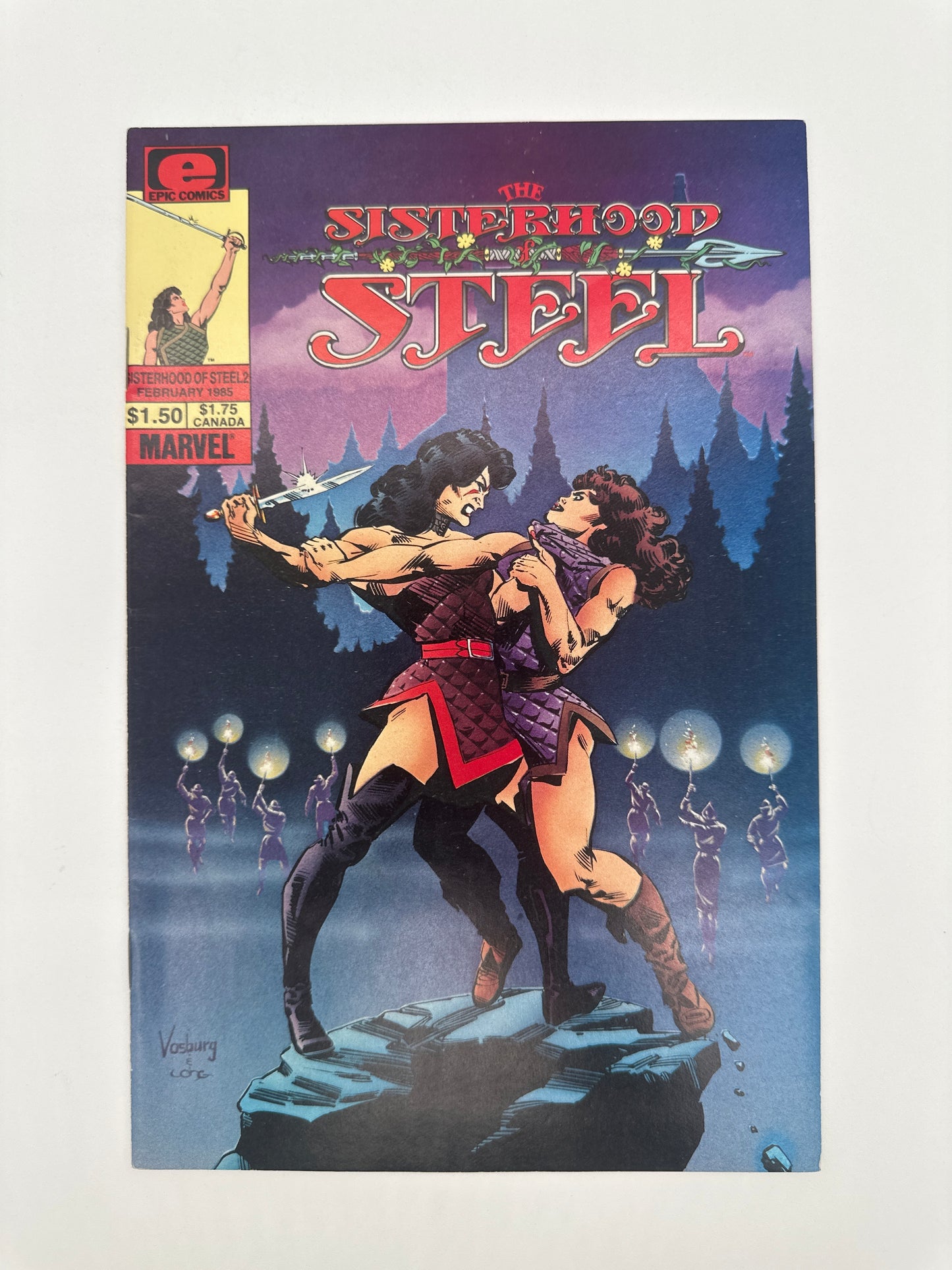 Sisterhood of Steel #2 VF/NM