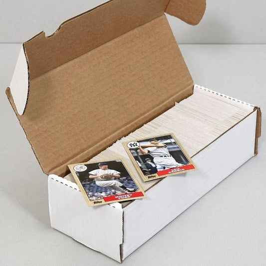 BCW 550 Count Card Storage Box